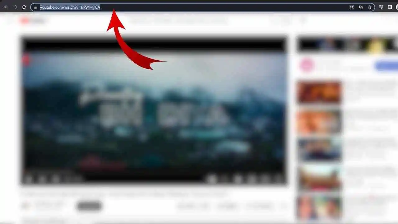 Then, just copy the video URL from your browser address bar