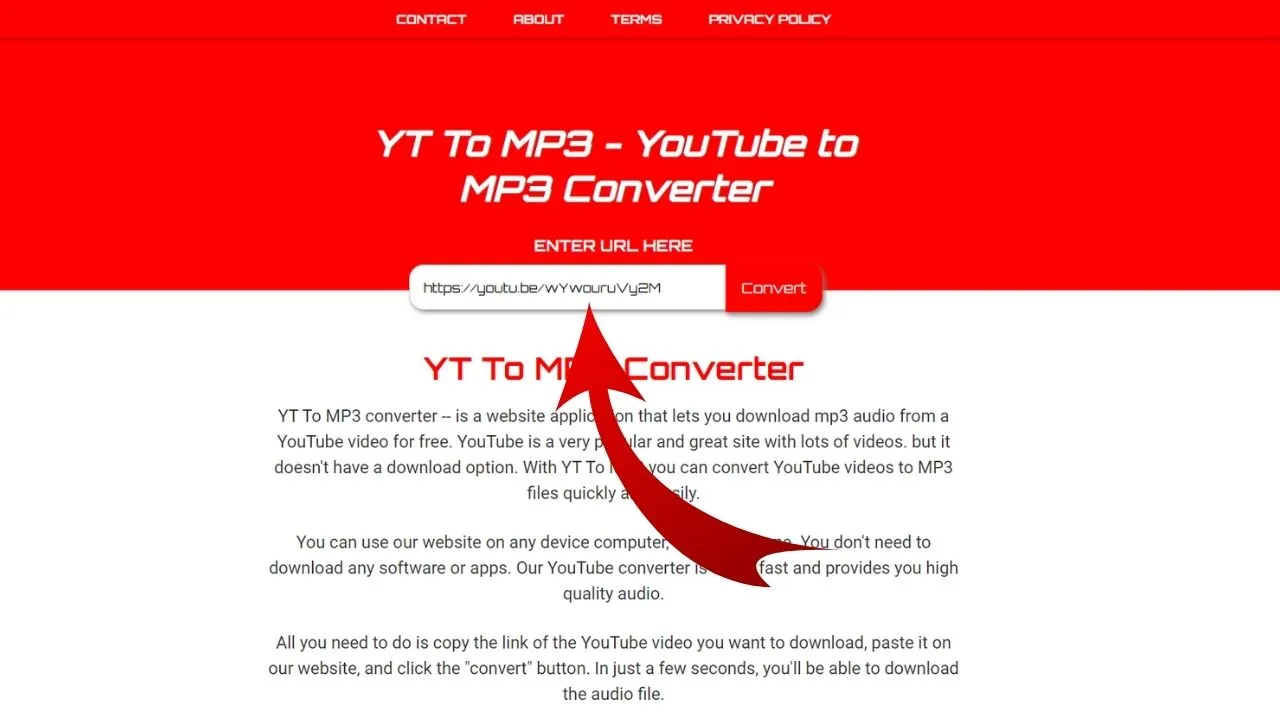 Open our Website and paste the video URL in our converter Then, simply click on the Convert button